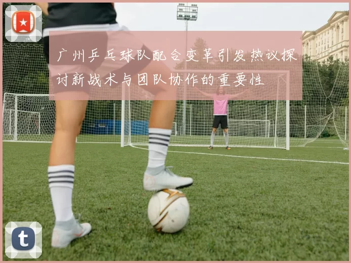 广州乒乓球队配合变革引发热议探讨新战术与团队协作的重要性