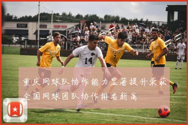 重庆网球队协作能力显著提升荣获全国网球团队协作排名新高