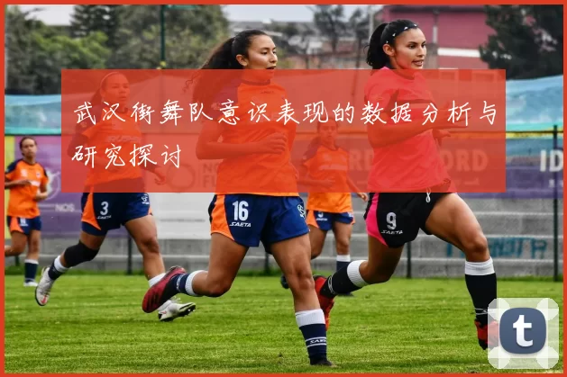 武汉街舞队意识表现的数据分析与研究探讨
