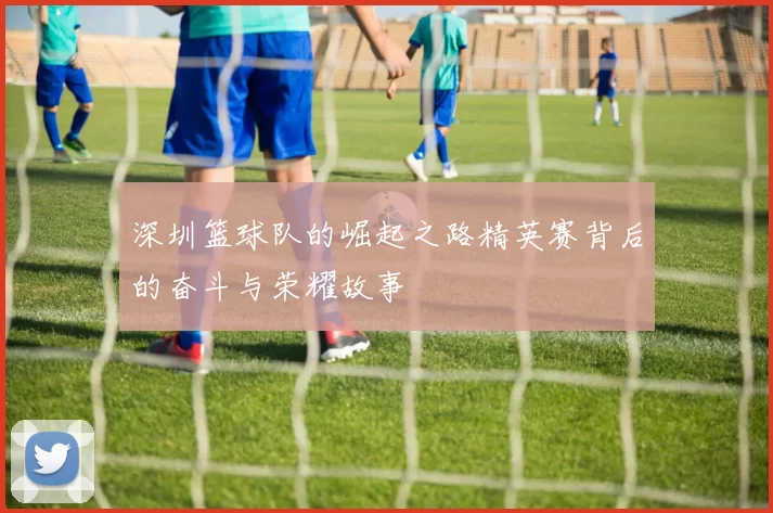 深圳篮球队的崛起之路精英赛背后的奋斗与荣耀故事