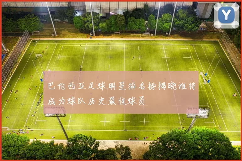巴伦西亚足球明星排名榜揭晓谁将成为球队历史最佳球员