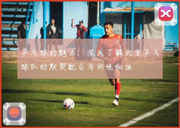 乒乓球的魅力：深入了解北京乒乓球队的默契配合与训练秘诀