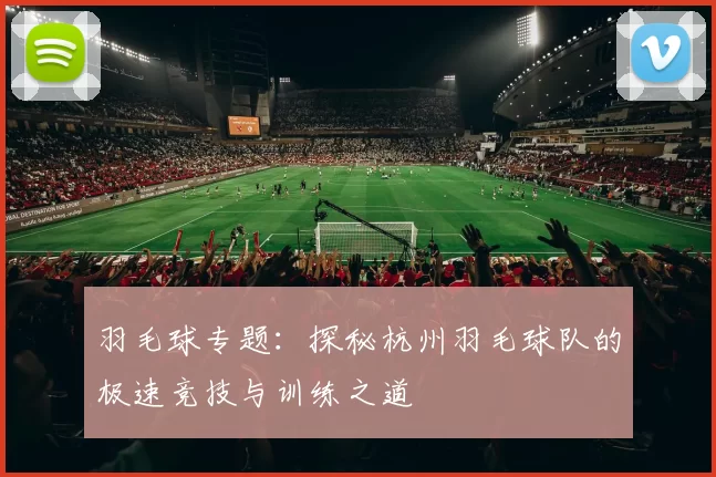 羽毛球专题：探秘杭州羽毛球队的极速竞技与训练之道