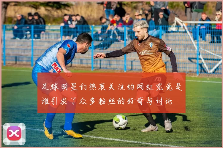 足球明星们热衷关注的网红究竟是谁引发了众多粉丝的好奇与讨论