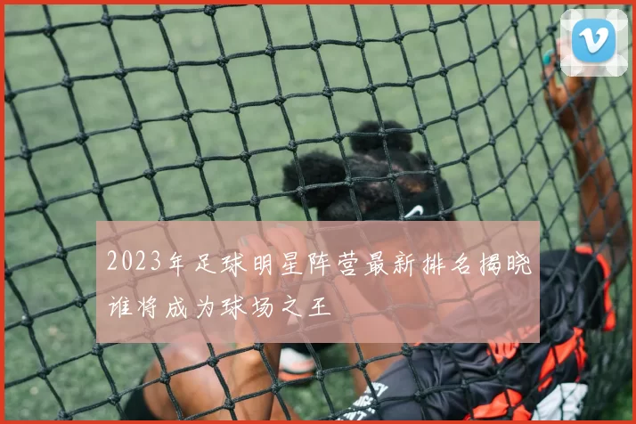 2023年足球明星阵营最新排名揭晓谁将成为球场之王