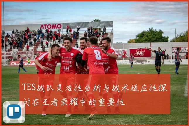 TES战队灵活性分析与战术适应性探讨在王者荣耀中的重要性