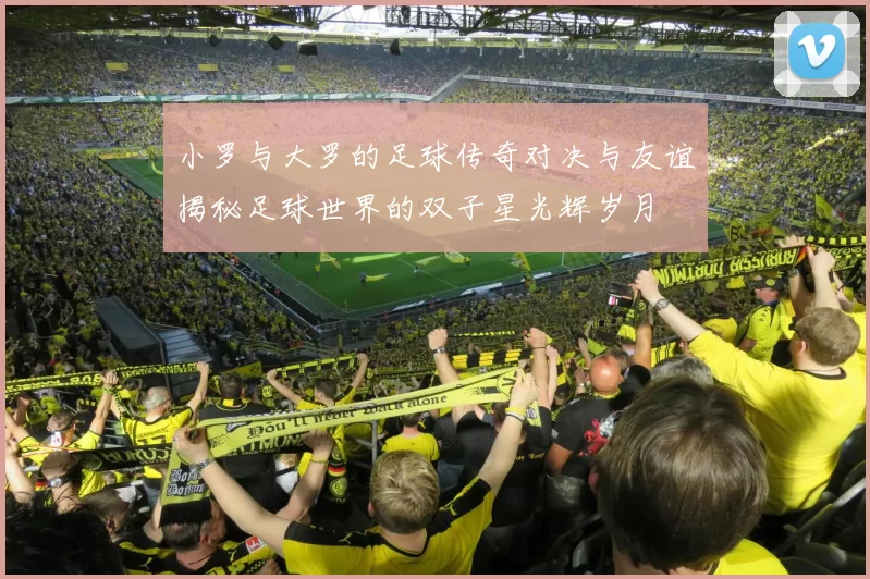 小罗与大罗的足球传奇对决与友谊揭秘足球世界的双子星光辉岁月