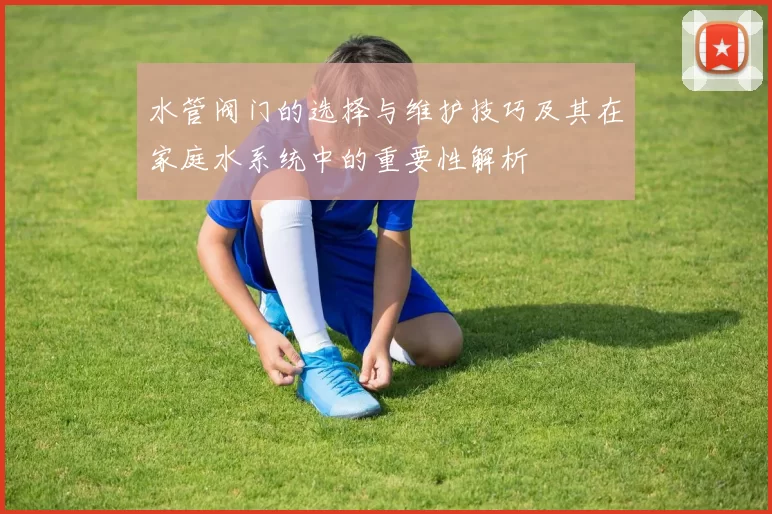 水管阀门的选择与维护技巧及其在家庭水系统中的重要性解析