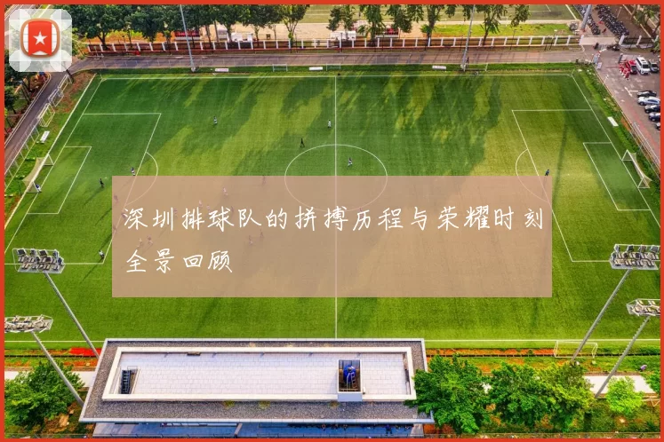 深圳排球队的拼搏历程与荣耀时刻全景回顾