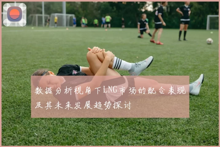 数据分析视角下LNG市场的配合表现及其未来发展趋势探讨
