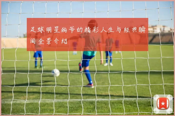 足球明星狗爷的精彩人生与经典瞬间全景介绍
