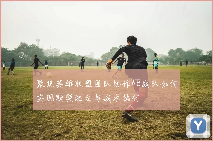 聚焦英雄联盟团队协作WE战队如何实现默契配合与战术执行
