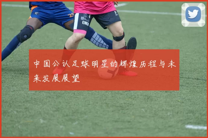 中国公认足球明星的辉煌历程与未来发展展望