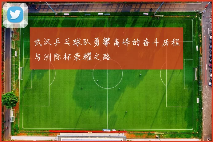 武汉乒乓球队勇攀高峰的奋斗历程与洲际杯荣耀之路