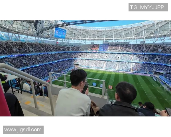 陈芳独家解析足球战术与技巧分享助你提升球技与观赛体验