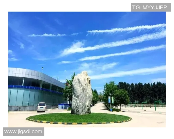 羽毛球的梦想与坚持：西安羽毛球队奋斗历程全景纪实