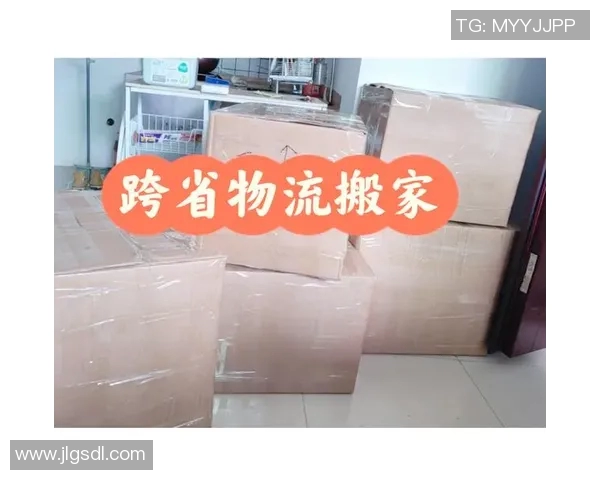 快递搬家服务全攻略轻松搬迁高效省心搬家经验分享