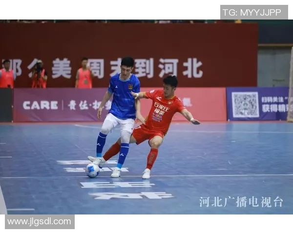 球迷视角下的体育文化变迁与激情碰撞探索